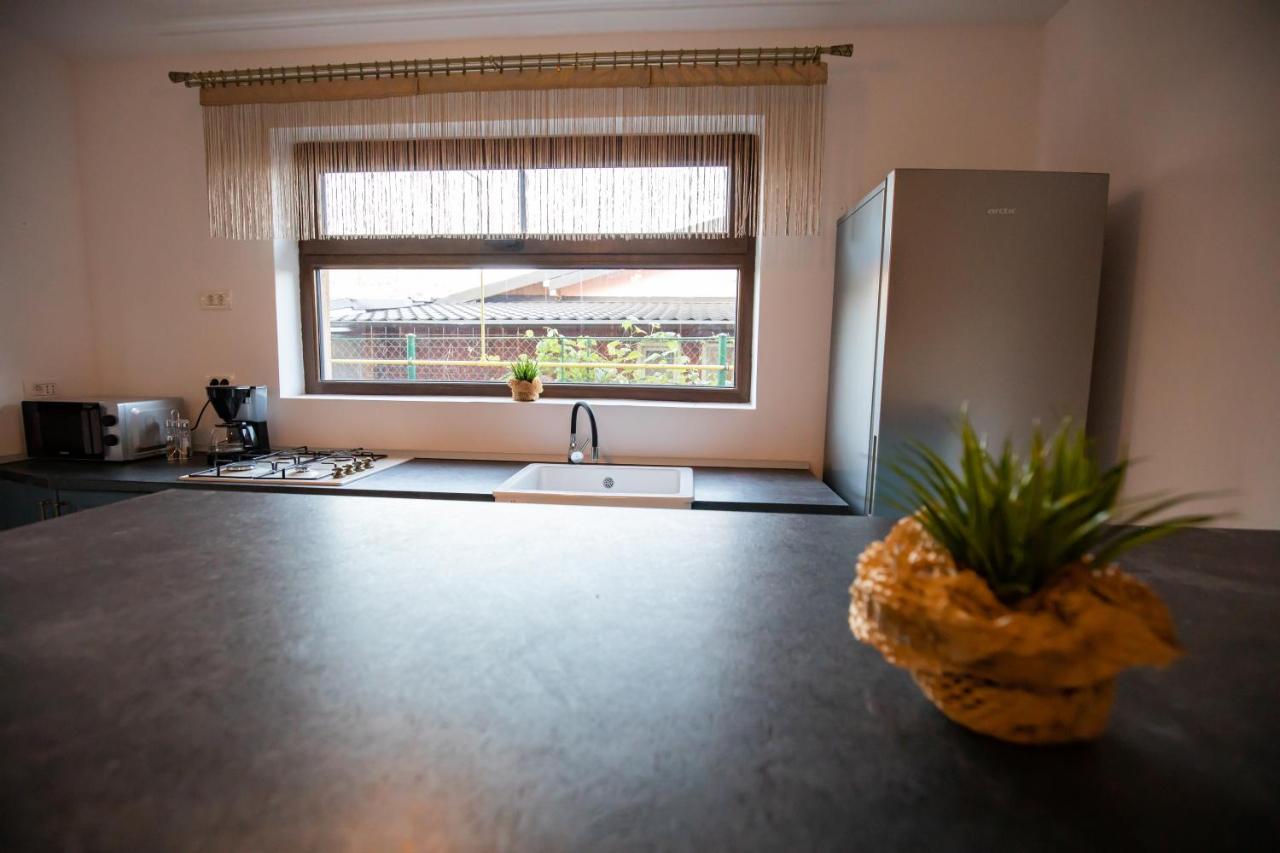 Dania&Petru Residence Tîrgu Ocna Eksteriør bilde